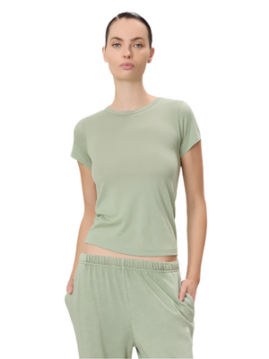Fitted Crewneck Short Sleeve T-Shirt in Sage