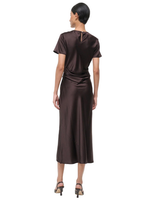 Marcel Silk Dress in Earth