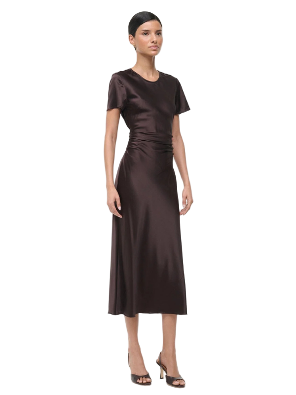 Marcel Silk Dress in Earth