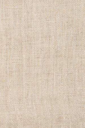 Jones Pant Natural