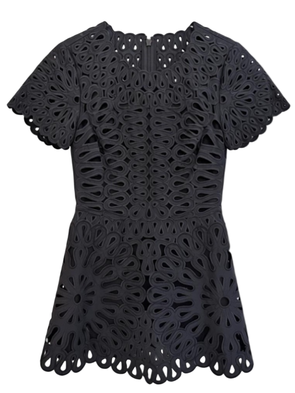 Emrys Mini Dress in Black by Simkhai, showcasing a short-sleeve fitted bodice with a flared mini skirt, crafted from exquisite cutout appliqué fabric for an elegant and luxurious look.