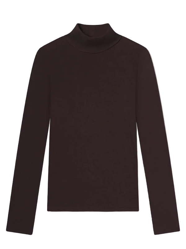 Pascale Turtleneck in Root from Agolde, showcasing a streamlined silhouette perfect for layering.