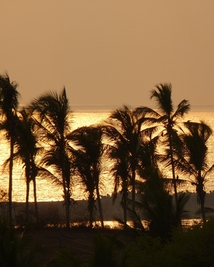 image of sunny beach day